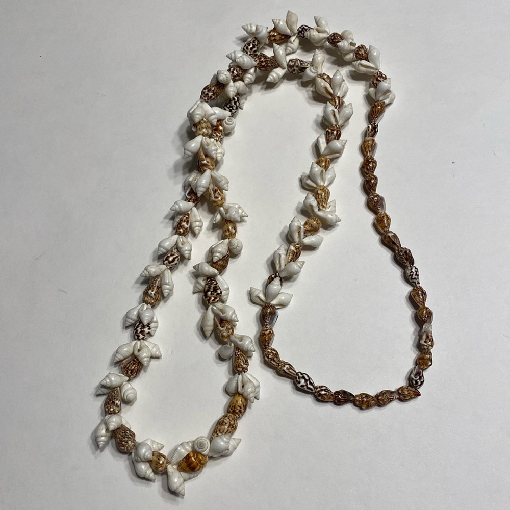 Seashell Necklace Conch Shells Hawaii Strung